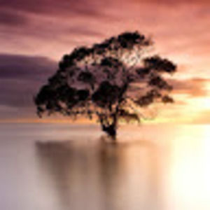 Meet your Posher, Ramon s